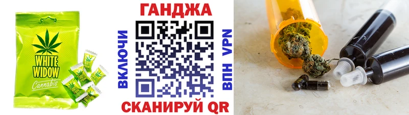 Cannafood конопля  Цоци-Юрт 
