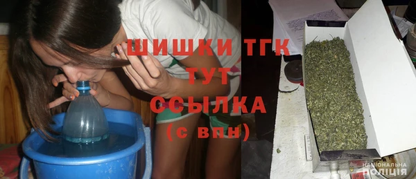 прущие крисы Магас