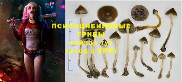 прущие крисы Магас