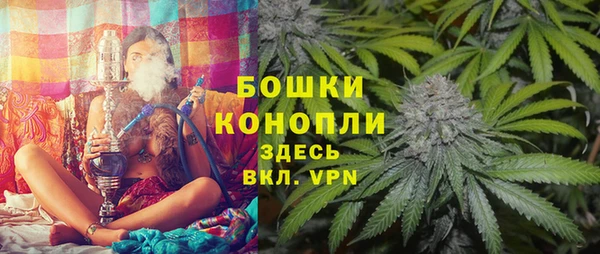 прущие крисы Магас